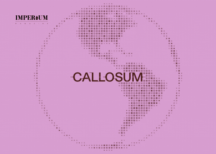 London-based Callosum secures €85.4 million Seed funding led by Atomico to connect AI models and chips